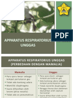 Apparatus Respiratorius Unggas