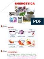 Presentación 7 BIOENERGETICA