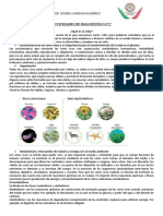 Trabajo Practico de Diagnóstico - 2°1°-Biología 2021