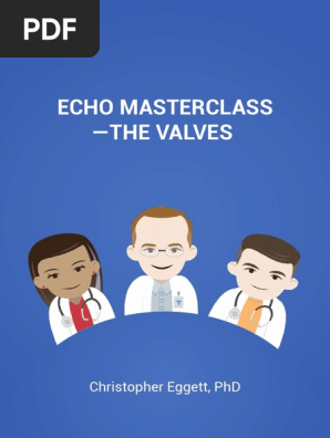 Medmastery Handbook - Echo Masterclass - The Valves