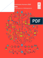 Síntese Do RDH 2020 Overview Portuguese