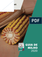 2020_B_GuiaMilho_web