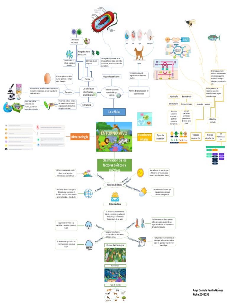 Mapa Mental del Entorno Vivo | PDF | Biología Celular) | Plantas