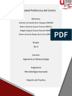 Tinción de Gram y conteo de hongos en cámara de Neubauer