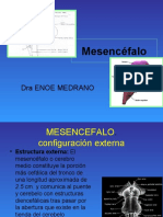 Mesencefalo - Dra. Enoe Medrano