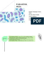 Fasciola Hepatica