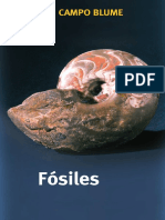 Guías de Campo Blume -Fósiles