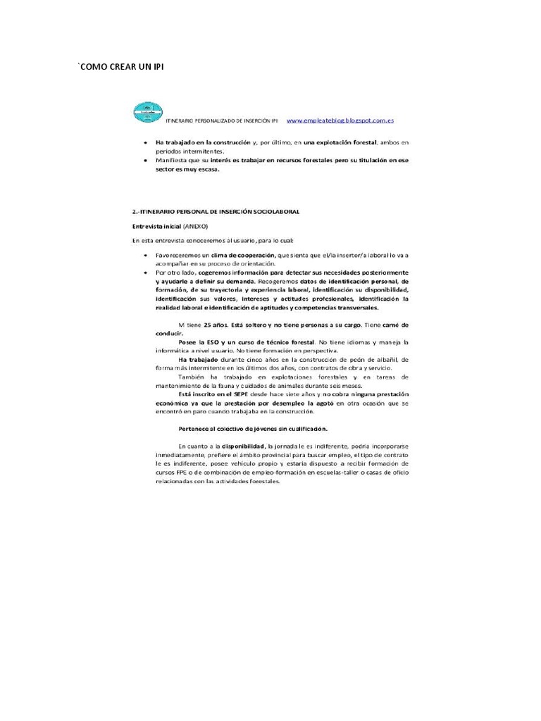 Guía para Crear un IPI Efectivo | PDF