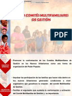 Comite Multifamiliar de Gestion