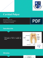 Cavidad Pulpar