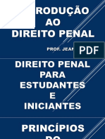 INTRODUÇÃO AO DIREITO PENAL - PARA INICIANTES