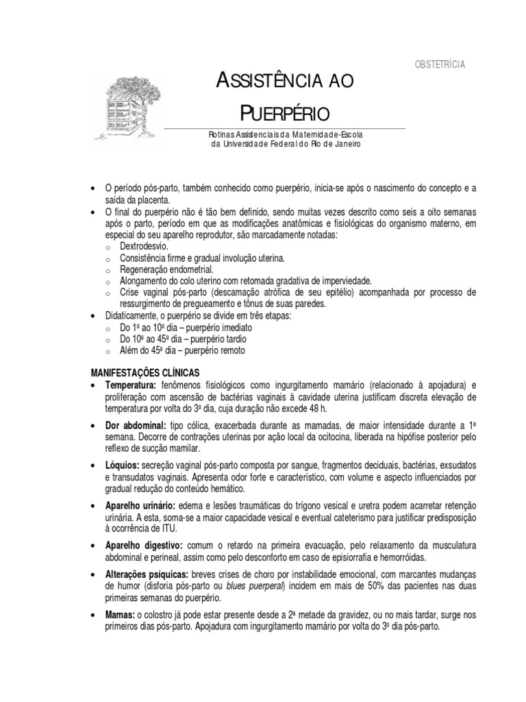 Rotinas assistenciais no puerpério fisiológico na Maternidade-Escola da ...