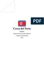 Resumen-Corea Del Norte