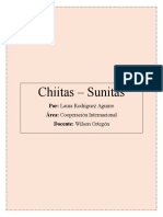 Conflicto Sunita-Chiíta - Resumen