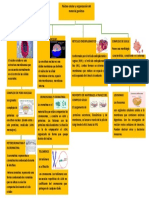 Mapa Conceptual Biologia