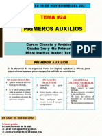 24 Tema Primeros Auxilios