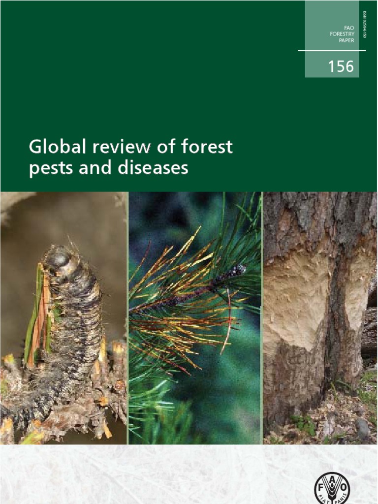 Global Forest Pest Overview | PDF