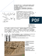 Formación de yacimientos minerales: procesos geológicos