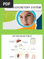 Ekskresi Untuk 8a