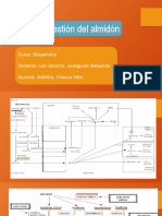 Bioquimica Almidon