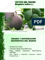 Diapositivas El Cultivo de Mango Parte 1