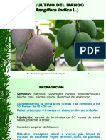 Diapositivas El Cultivo de Mango Parte 2 (1)