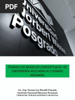 02 Teoria y Modelo Conceptual de Enfermeria Aplicada Al Neonato
