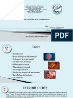 Psicología Del Desarrollo Ramón J. Guarirapa P.