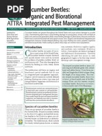 Download Cucumber Beetle by lamsbread SN54318732 doc pdf