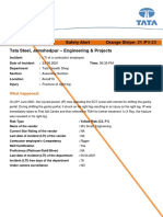 Orange Stripe # 21 English (New)