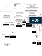 Diabetes Melitus Tipe II Pathway