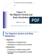 CHAPTER 14 The Digestive System
