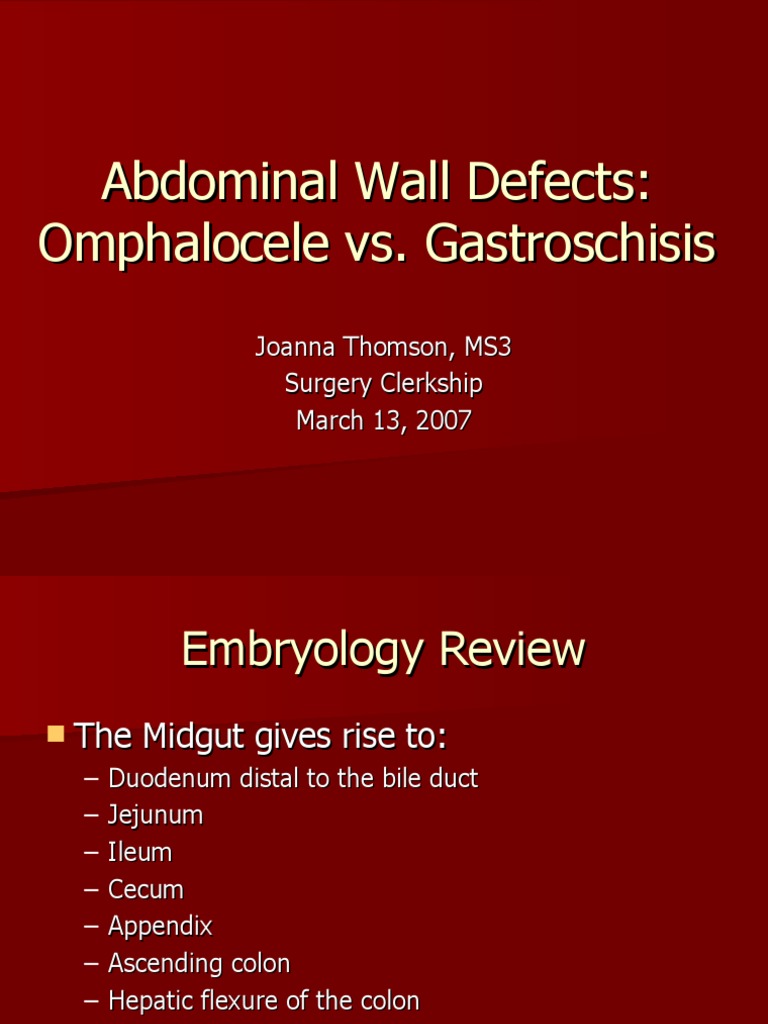 Abdominal Wall Defects: Omphalocele vs. Gastroschisis | PDF | Large ...