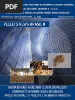 Pellets News Brasil II