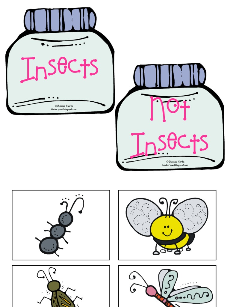 Insect Sort Color Cards | PDF
