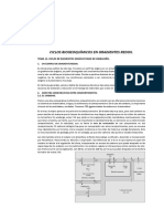 TEMA12eco