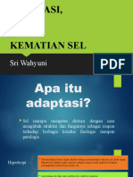 Adaptasi, Jejas, Dan Kematian Sel