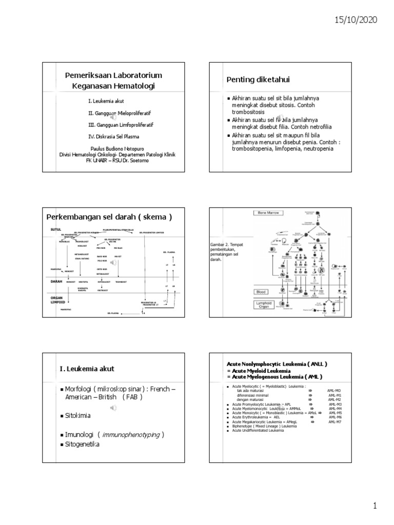 Pertemuan iii dr paulus keganasan hematologi pdf