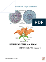 BAB3 Struktur Dan Fungsi Tumbuhan