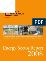 ERBe Nergy Sector Report 2008