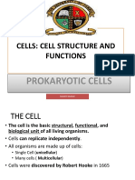 Cell Structure and Functions-Prokaryotic Cell-Unza (Jigsaw)