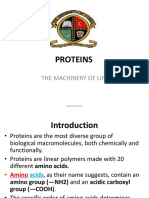 Proteins: The Machinery of Life