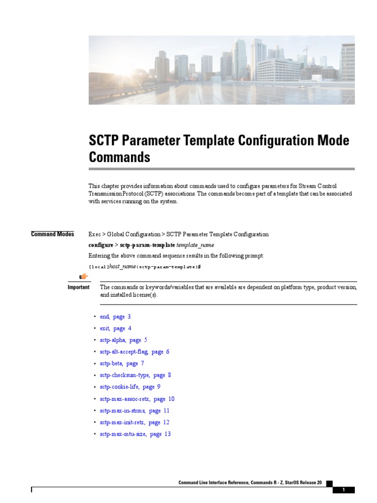 SCTP Parameter Template Commands Guide | PDF | Command Line Interface ...