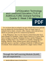Tle Week 3 Agriculture