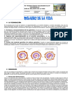 Guía El Milagro de La Vida (Fecundación, Embarazo y Parto) 11