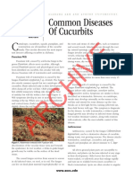 Common Diseases of Cucurbits: Archive