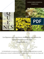 LIQUENES PDF Comprimido