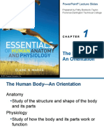 The Human Body: An Orientation: Powerpoint Lecture Slides