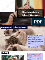 Homeostasis Dalam Haiwan