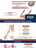 Extremidades superiores: anatomía y evaluación clínica